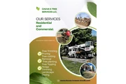 Tree service en Philadelphia