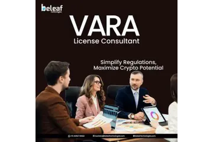 Expert VARA License Consultant image 1