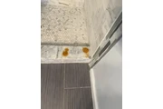 $150 por quitar manchas en Los Angeles
