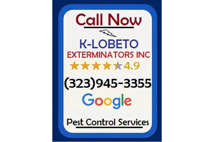 FUMIGACIONES TERMITAS 24/7.- image 8