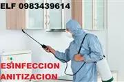 Fumigaciones en Quito en Quito