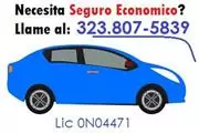 SEGUROS para VIDA, AUTO y mas en Los Angeles