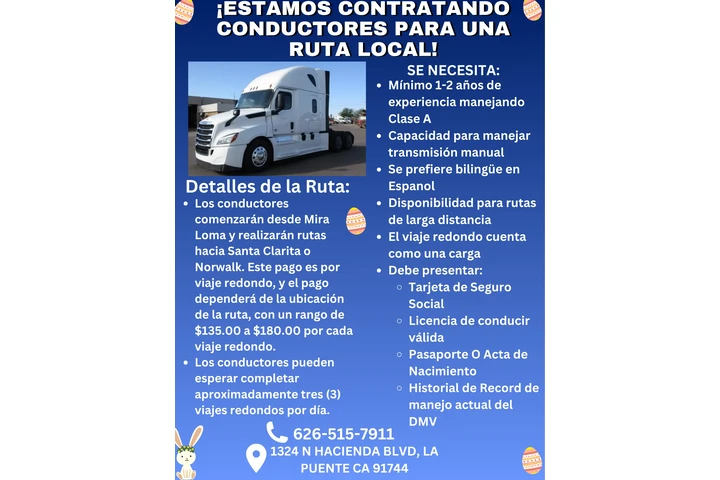 CHOFER DE CAMINOETA CLASE A image 1