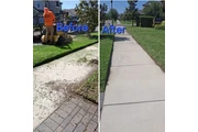 Landscaping near me area en Tampa