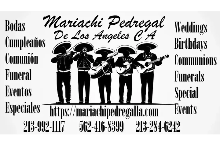 Mariachi pedregal  213992 1117 image 5