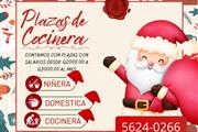 Oferta de Trabajo: Plaza Inter