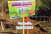 $66000000 : lotes, facilidad de pago. thumbnail