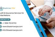 Audit & Assurance Services