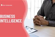 Business Intelligence Training en Arlington VA
