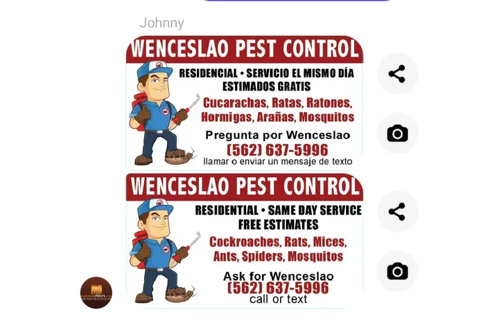 Fumigacion cucarachas y termit image 1