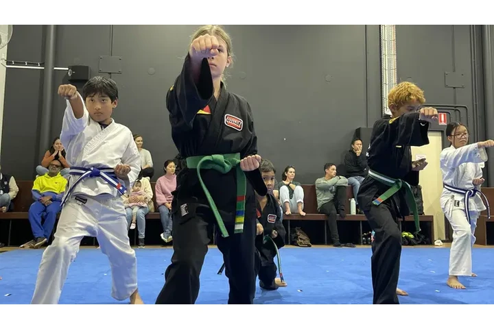 Family Karate Classes of AMAF image 1