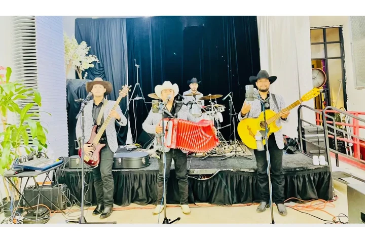 ACENDADO NORTEÑO image 1