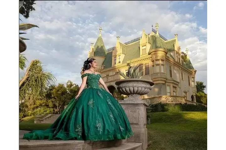 Golden Fox Photo image 3