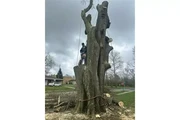 GARDENING SERVICES! thumbnail