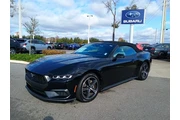 Ford Mustang 2024 EcoBoost P en Orlando