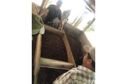 $390000 : Se vende hacienda 78ha Bolivar thumbnail