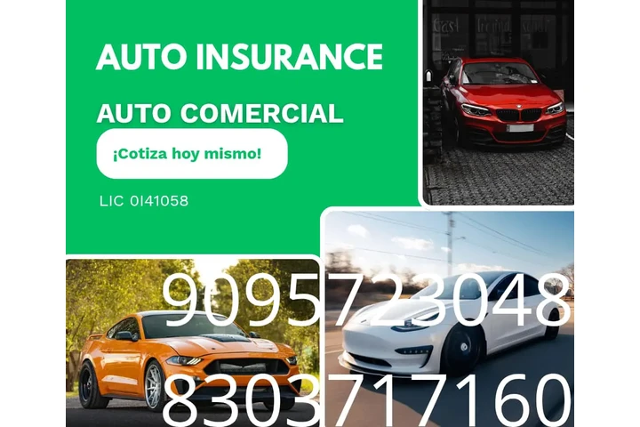limitless suport insurance image 1