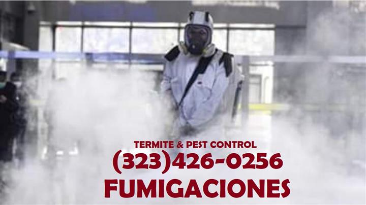 *FUMIGACIONES TERMITAS-PLAGAS* image 10