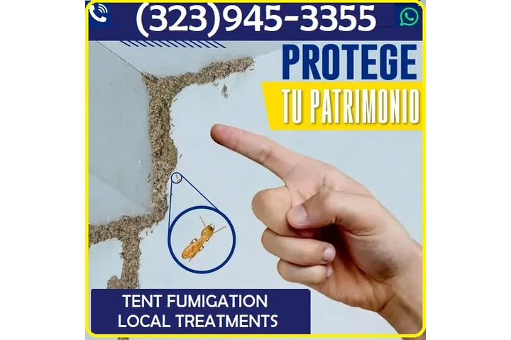 FUMIGACIONES TERMITAS 24/7.- image 6