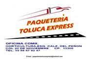PAQUETERIA TOLUCA EXPRESS