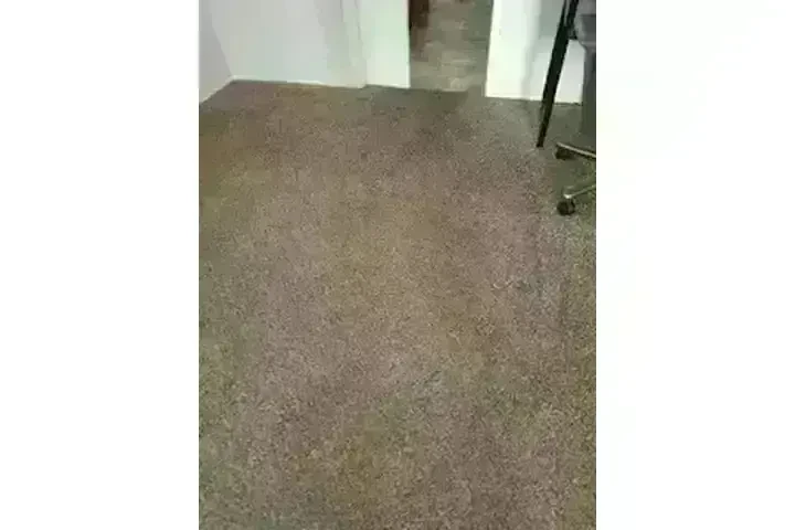 RC LIMPIEZA DE ALFOMBRAS image 2