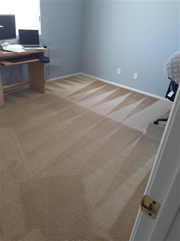 Roberto's carpet cleaning image 3