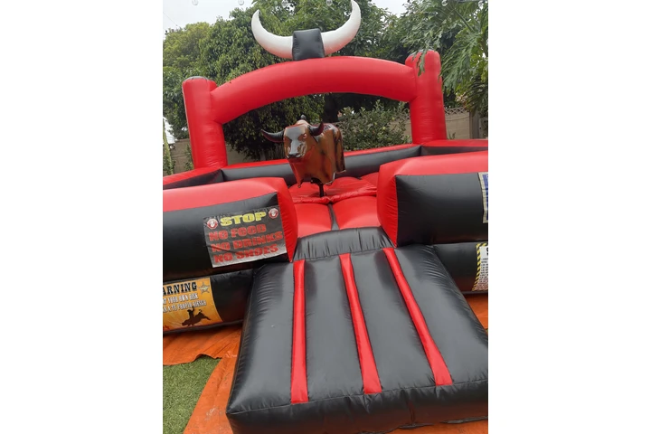 Farmtable-bounce house w/slide image 6