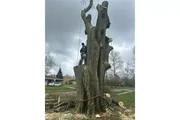 GARDENING SERVICES! en Indianapolis