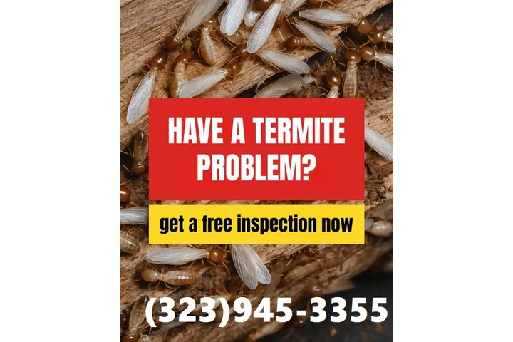 PEST CONTROL NEAR ME 24/7.- image 10
