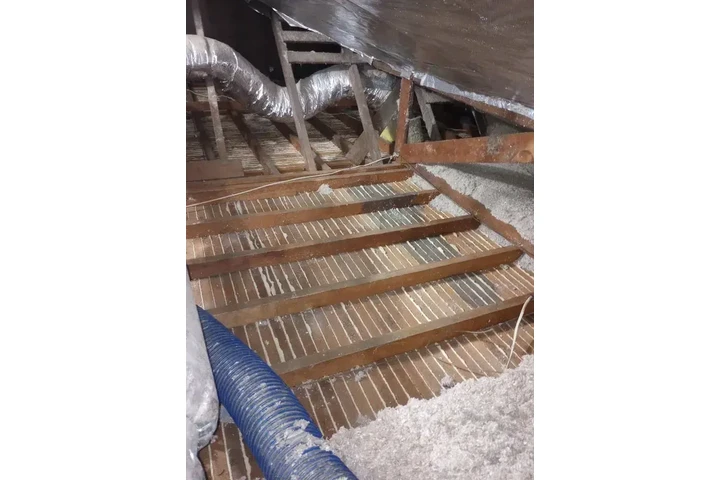 Attic Insulation and Cleaning image 2