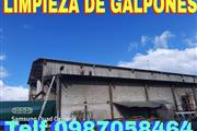 LIMPIEZA DE GALPONES INDUSTRIA en Quito