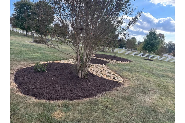 Diaz Lawn Care And Landscaping image 3