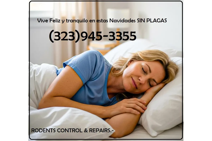 FUMIGACION RATONES REPARACION image 9