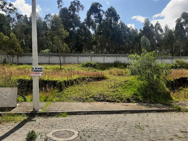 $30000 : Terreno San Miguel Conocoto image 3