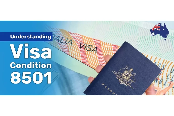 Visa Condition 8501 image 1