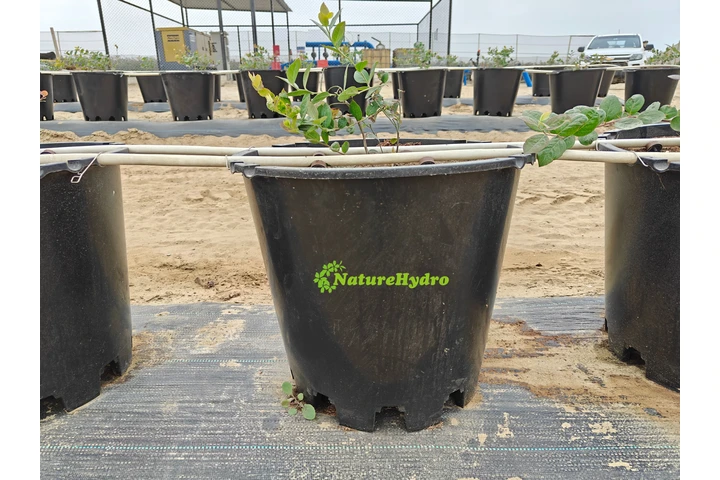 $20000 : Naturehydro Macetas Plásticas image 7