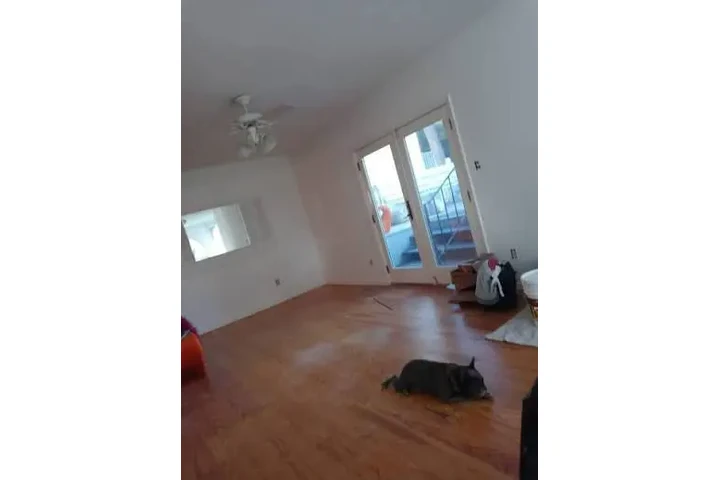 Oportunidad laboral en Miami image 1