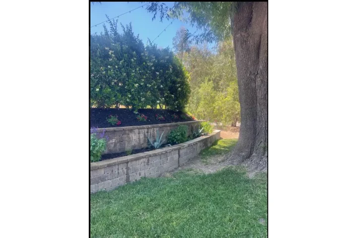 🌄 Expertos en Landscaping image 3