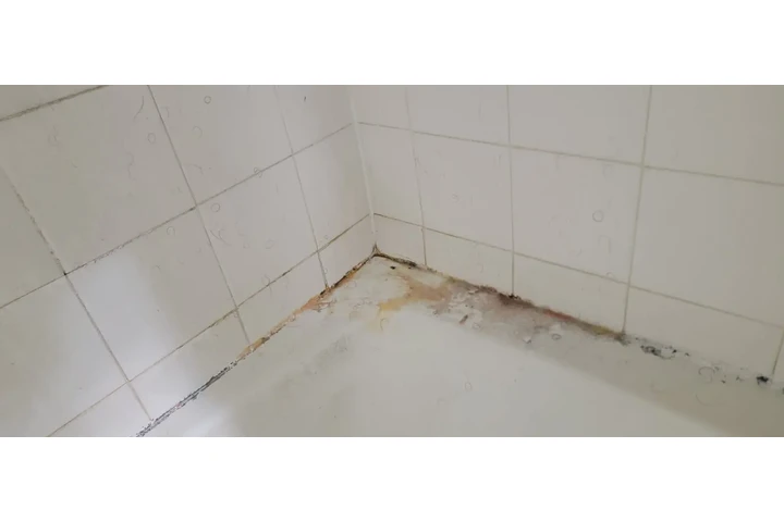 First Class Cleaning, FLA image 1