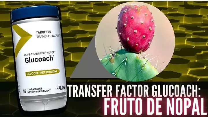 GLUCOACH TRI FACTOR 4LIFE image 2