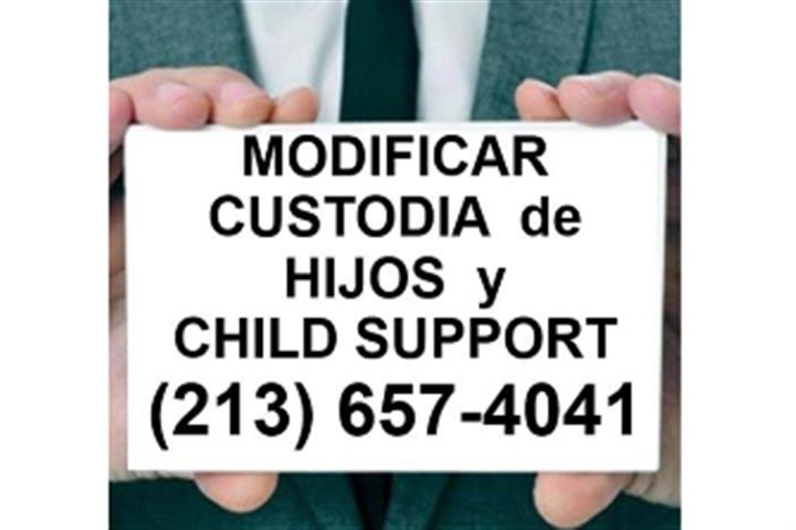 DESEA MODIFICAR CHILD SUPPORT? image 1