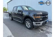 Ford F-150 2024 4x4 XLT 4dr en Albany