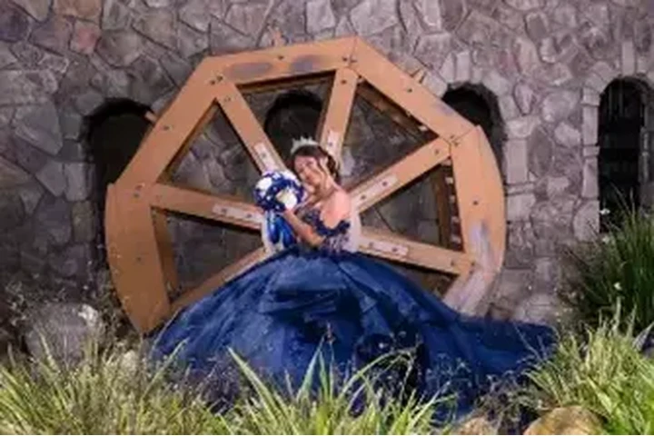 FEREVA $1,500 DLS image 8