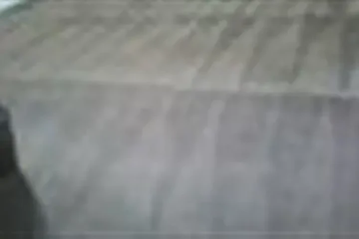 Limpieza De Alfombras. image 1