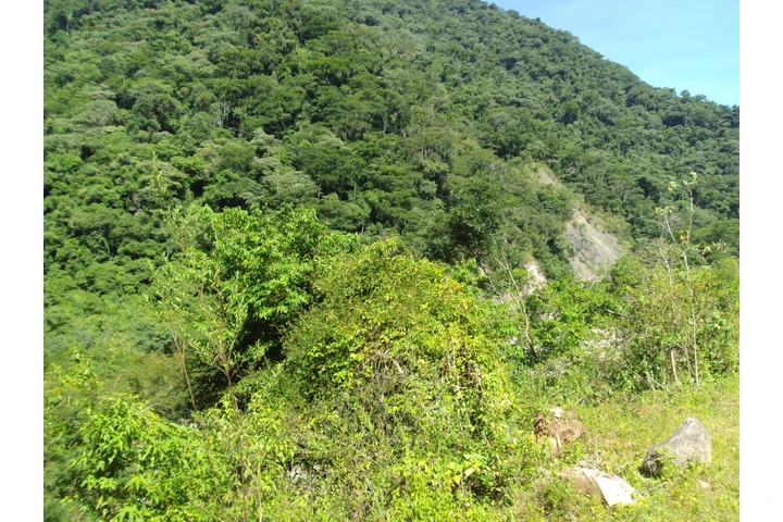 $195000 : OPORTUNIDAD Campo en ARGENTINA image 6