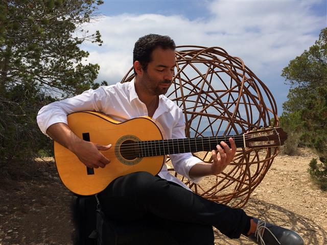 Guitarrista Flamenco image 4