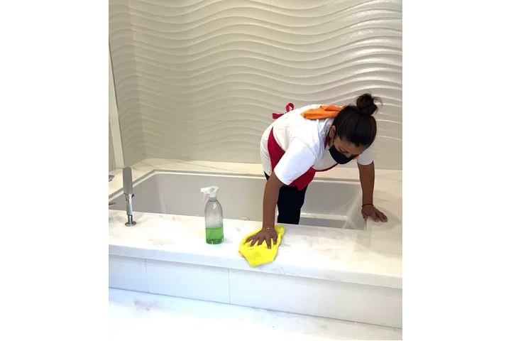 HOUSE CLEANING PROFESSIONAL image 1