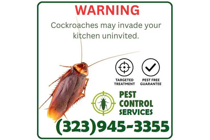 FUMIGATION LOS ANGELES--WINTER image 1