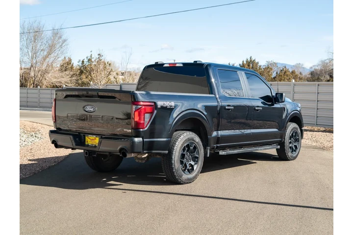 2025 F-150 STX image 4