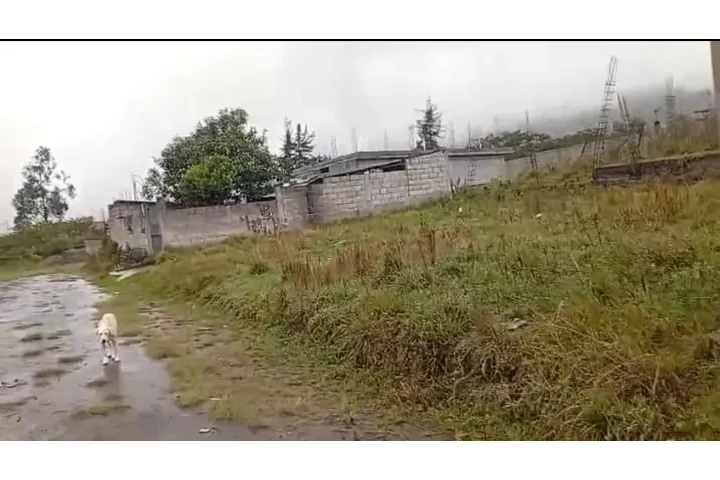 $32000 : Vendo terreno 420m2 y mediagua image 6